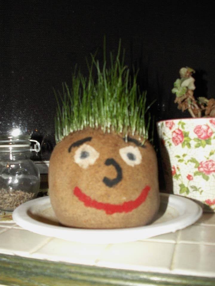 How To Make A Grass Head