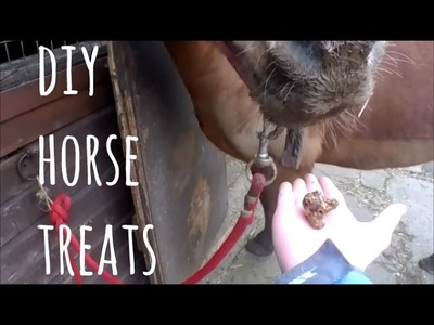 DIY Horse Treats | Quick, Simple and Delicious