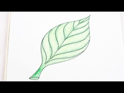 Easily Draw a Realistic Leaf - DIY  - Guidecentral