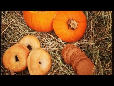 Make Yummy Pumpkin Cheesecake Dip - DIY Food & Drinks - Guidecentral