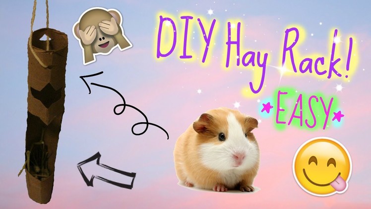 DIY  Guinea Pig Hay Rack Tutorial *EASY* | PiggyPalace
