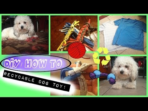 DIY: RECYCLABLE DOG TOY!! (EASY!)
