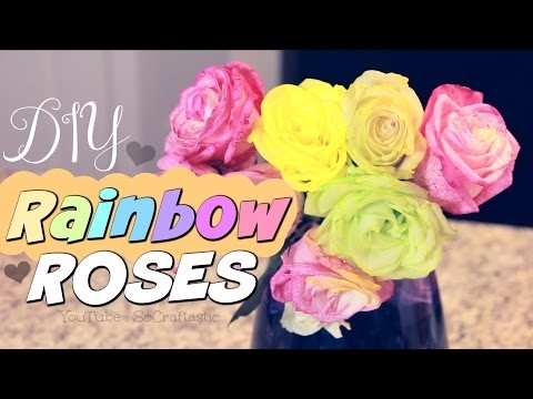 DIY Rainbow Roses. How To Dye Flowers. Pinterest Test