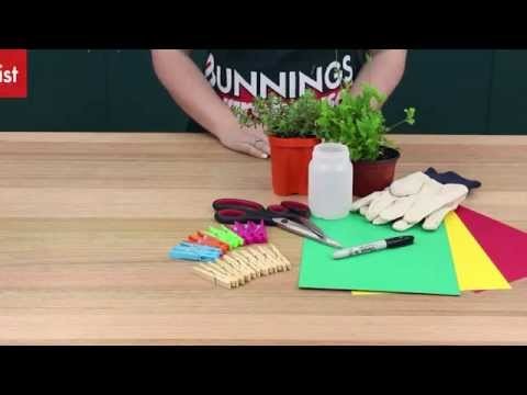 How To Make A Peg Pot Plant  - DIY At Bunnings