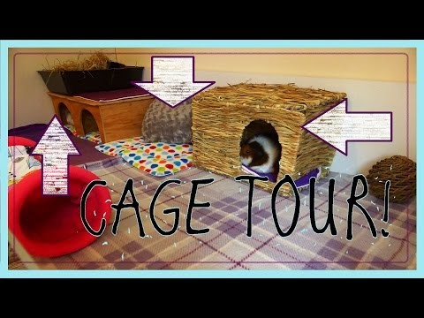 DIY GUINEA PIG CAGE: Cleaning and Cage Tour 2015!