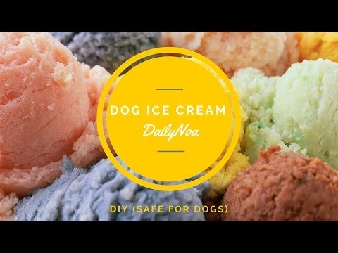 How To : Dog Ice Cream - DIY (safe for dogs)