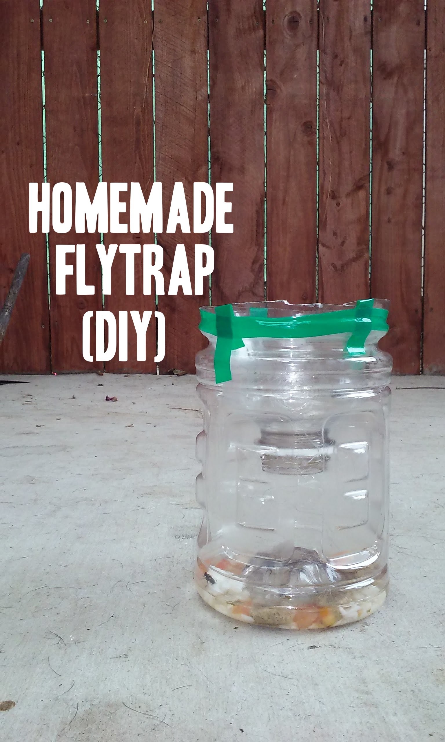 Easy Homemade Fly & Wasp Trap. Diy, How To