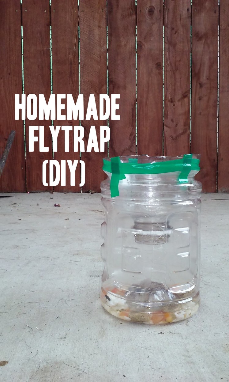 Easy Homemade Fly & Wasp Trap.  DIY, How To