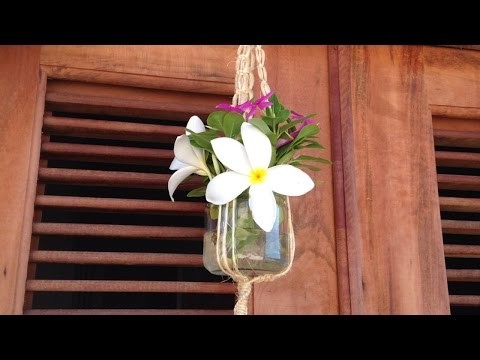 Make a Stunning Macramè Hanging Vase - DIY  - Guidecentral