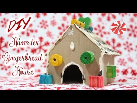DIY Hamster Gingerbread House!
