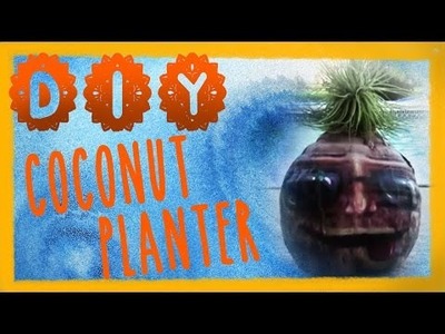 DIY Coconut Planter