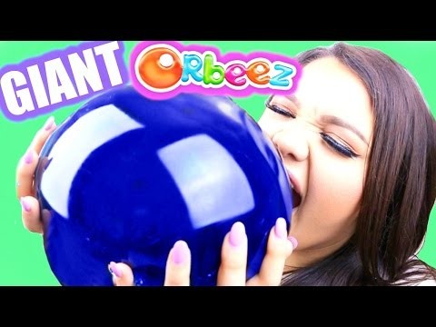 the biggest orbeez