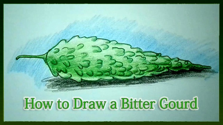 How to Draw a Bitter Gourd Step by Step