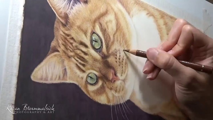 How to Draw a Cat in Colored Pencil | Tutorial