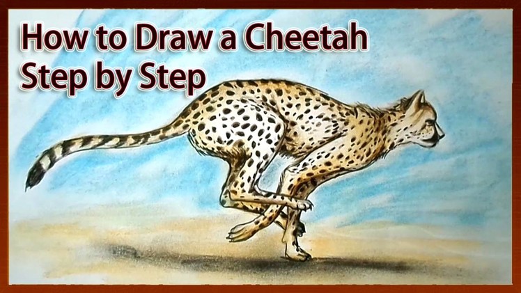 How to Draw a Cheetah Step by Step