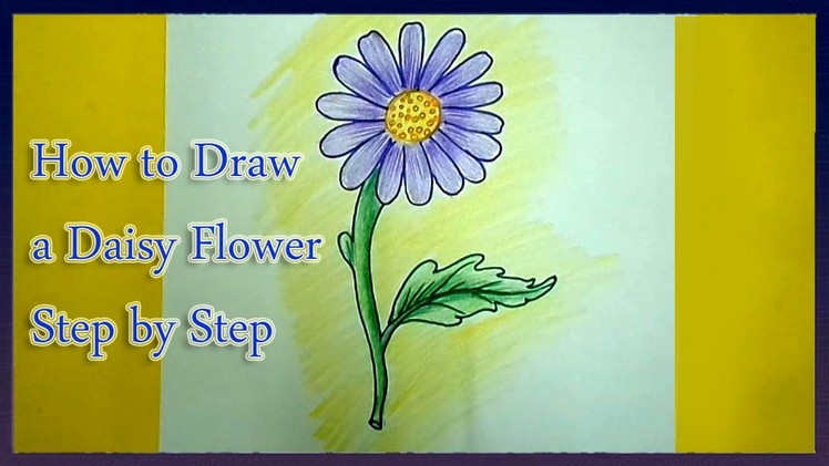 How to Draw a Daisy Flower Step by Step