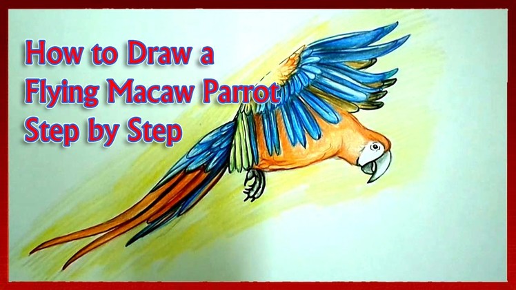 How to Draw a Flying Macaw Parrot Step by Step