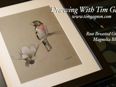 How To Draw A Grosbeak and Magnolia Flower Blossom Full Drawing Lesson by Tim Gagnon