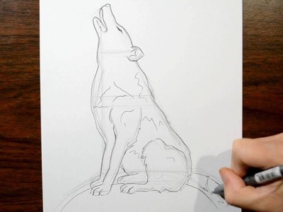 How to Draw a Howling Wolf - Real Time Drawing
