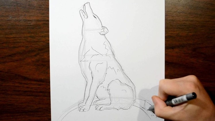 How to Draw a Howling Wolf - Real Time Drawing