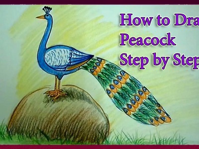 How to Draw a Peacock Step by Step