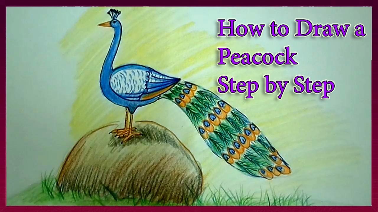 How To Draw A Peacock Step By Step