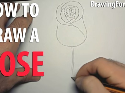 How to Draw a Rose || DrawingForAll.net