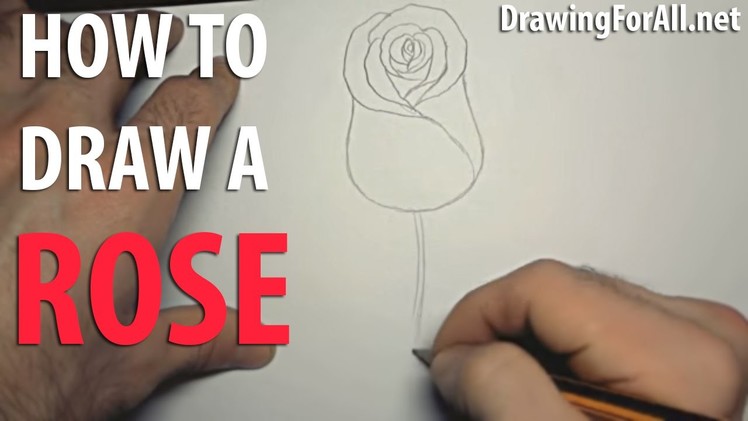 How to Draw a Rose || DrawingForAll.net