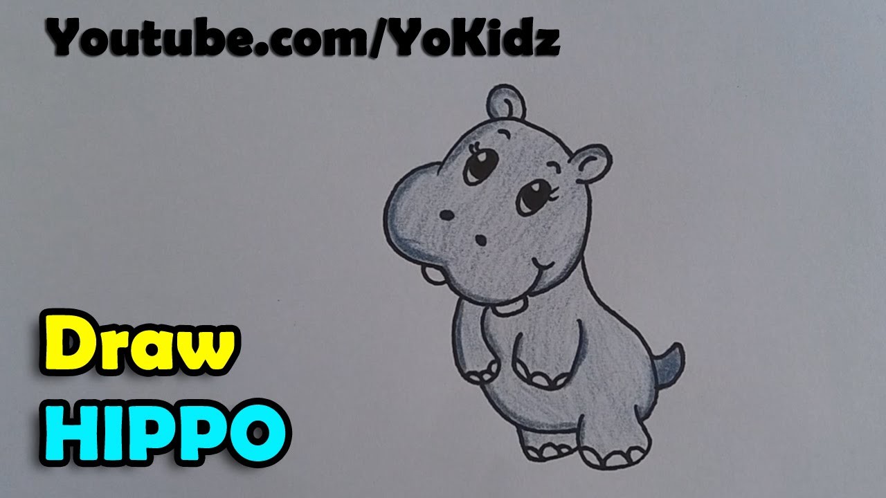 How to draw hippopotamus. hippo cartoon for kids