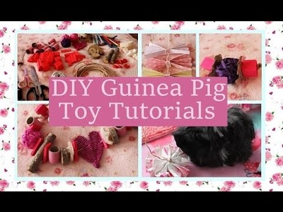 Toy Parts Haul & DIY Guinea Pig Toy Tutorials