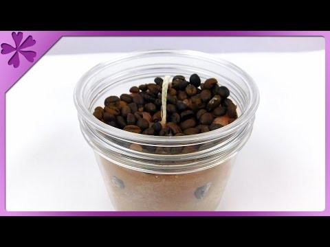 DIY Coffee candle (ENG Subtitles) - Speed up #184