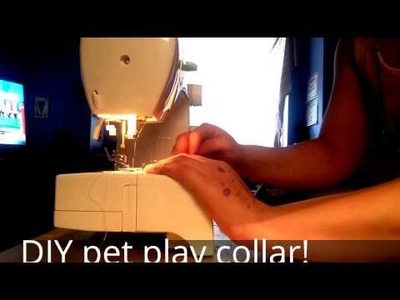 DIY Pet Play collar