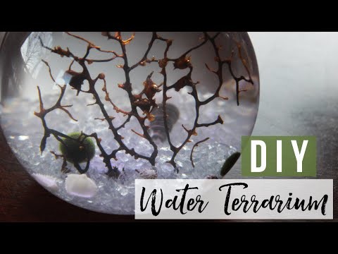 DIY Water Terrarium | Wit & Whimsy