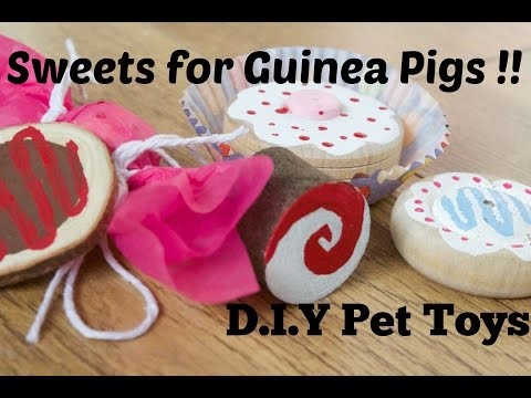 Sweets for Guinea Pigs!! *5 D.I.Y Pet Toys*