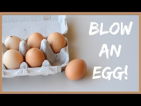How to Blow an Egg Out! DIY Easter Egg Decorations | Ali Coultas