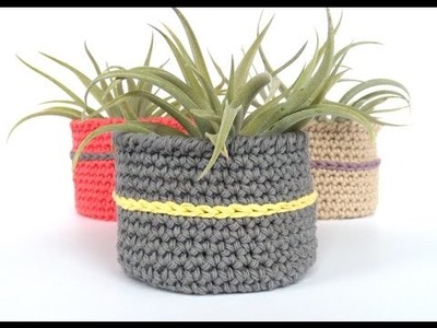 Episode #1 - How to Crochet a Bowl for a Large Air Plant