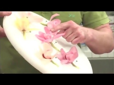 How to Change the Color of Flowers with Paint