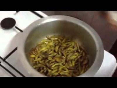 How to cook & eat grasshoppers.