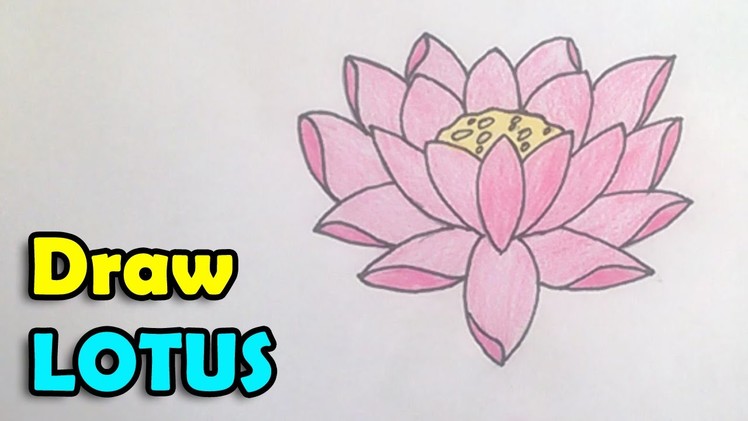 How to draw a lotus flower step by step