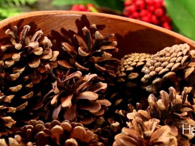 How to make a Natural Christmas Wreath