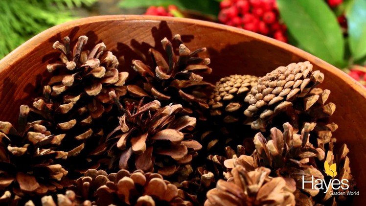 How to make a Natural Christmas Wreath