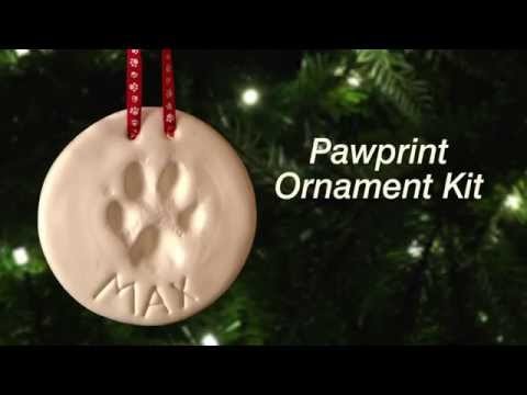 How to Make a Pawprint Ornament | DrsFosterSmith.com