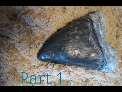 How to Make a Polymer Clay Megalodon Tooth - Part 1