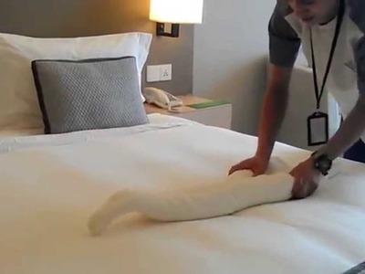 How to make an Origami Swan out of towel ? . Step By Step Procedure