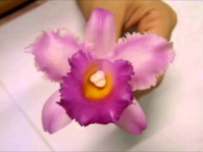 How to make Clay Flower Cattleya Orchid tutorial. Polymer Clay. Sugar Craft. Cake Decoration