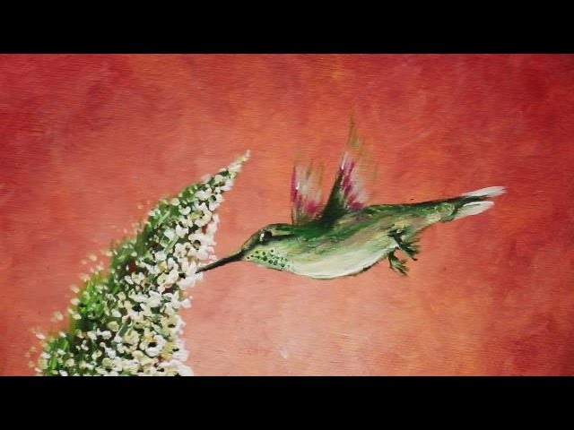 How to Paint a Hummingbird