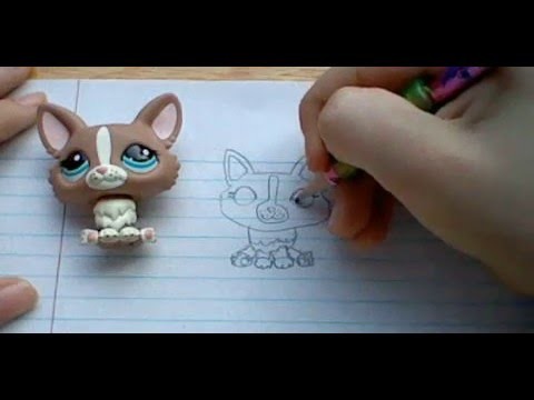 LPS Drawing: How To Draw A LPS Corgi