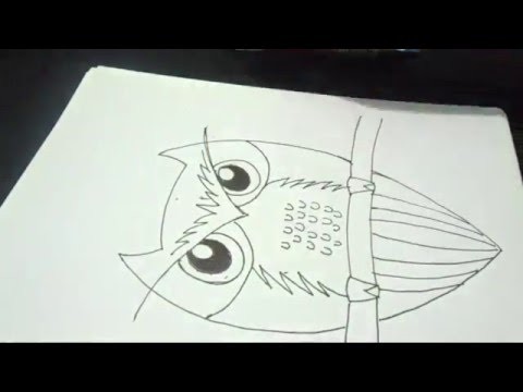 How To Draw An Owl Step By Step.