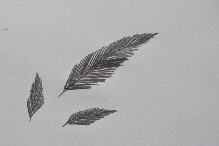How to Draw Simple Feathers