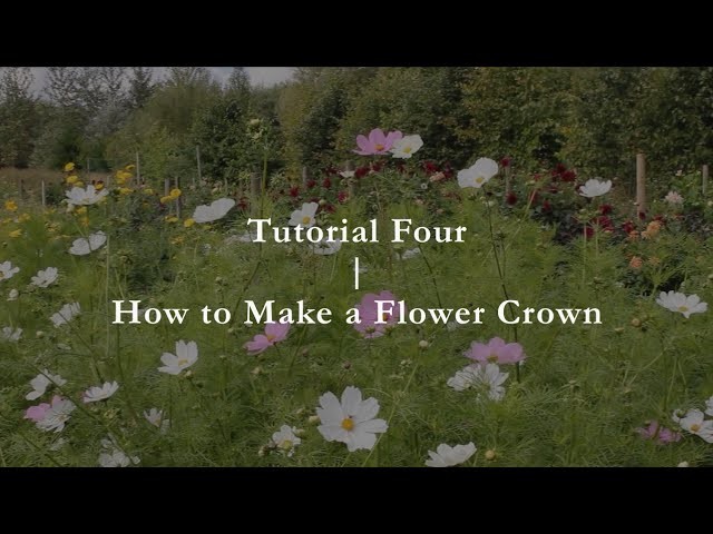 Common Farm Flowers - Tutorial Four - How to make a Flower Crown